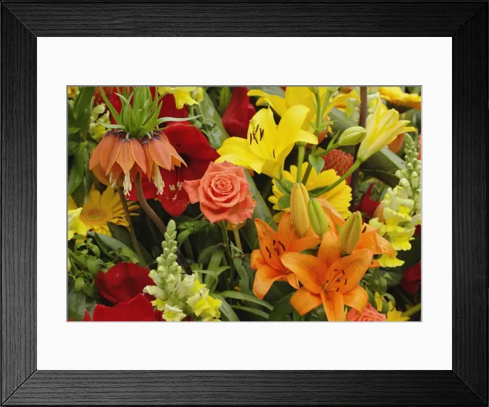 Framed Print : DDE-90033014 Framed Print : DDE-90033014
