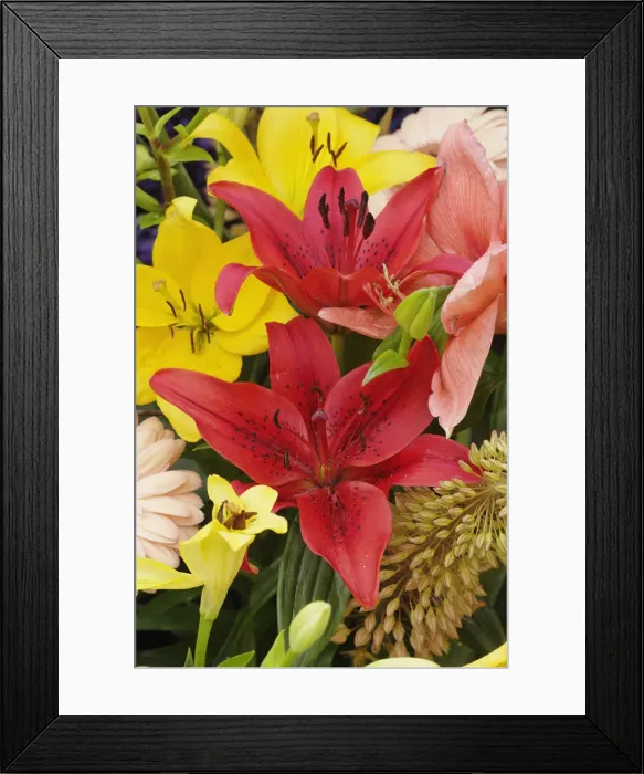 Framed Print : DDE-90033015 Framed Print : DDE-90033015