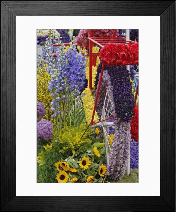 Framed Print : DDE-90033018 Framed Print : DDE-90033018