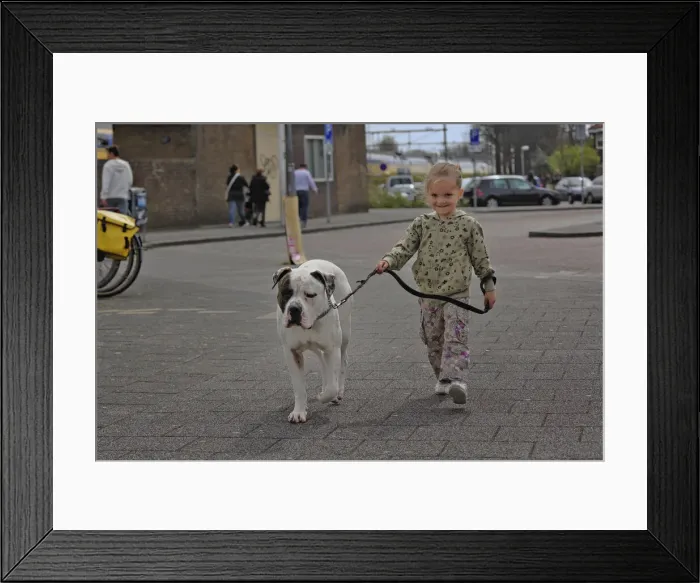 Framed Print : DDE-90033020 Framed Print : DDE-90033020