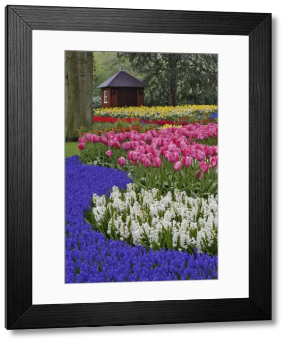 Framed Print : DDE-90033021 Framed Print : DDE-90033021