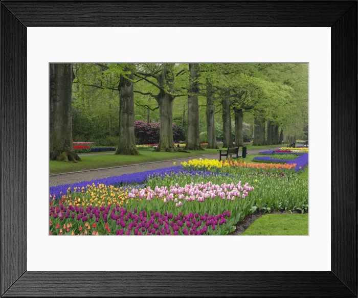 Framed Print : DDE-90033024 Framed Print : DDE-90033024