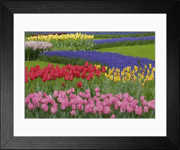 Framed Print : DDE-90033023 Framed Print : DDE-90033023