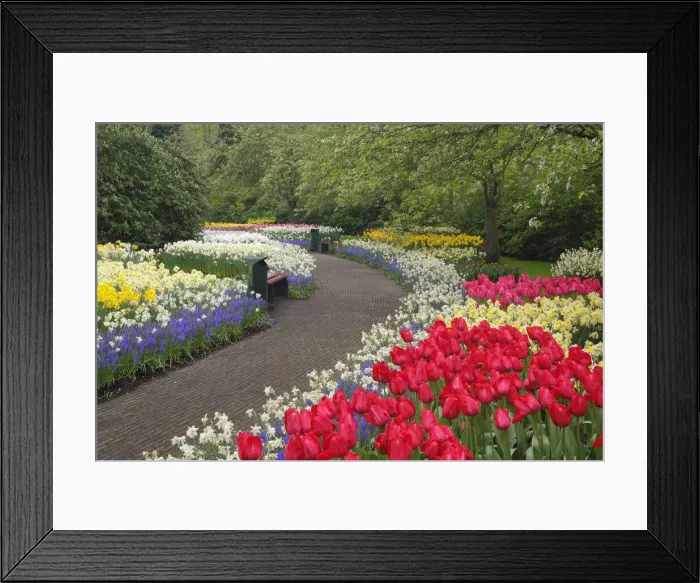 Framed Print : DDE-90033025 Framed Print : DDE-90033025