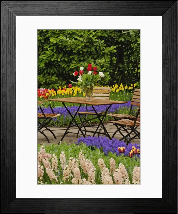 Framed Print : DDE-90033026 Framed Print : DDE-90033026
