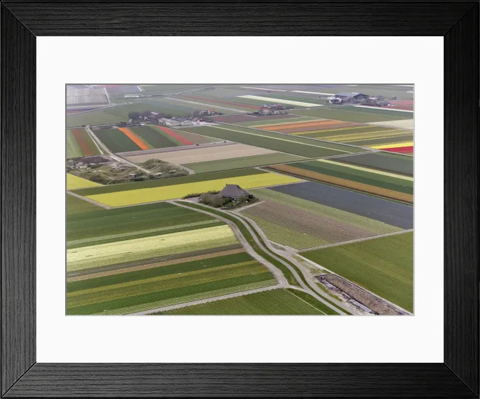 Framed Print : DDE-90033027 Framed Print : DDE-90033027