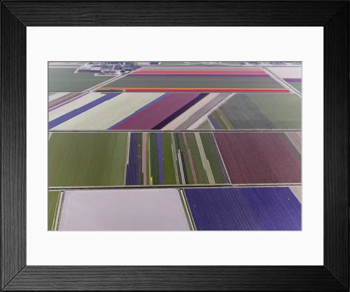 Framed Print : DDE-90033028 Framed Print : DDE-90033028