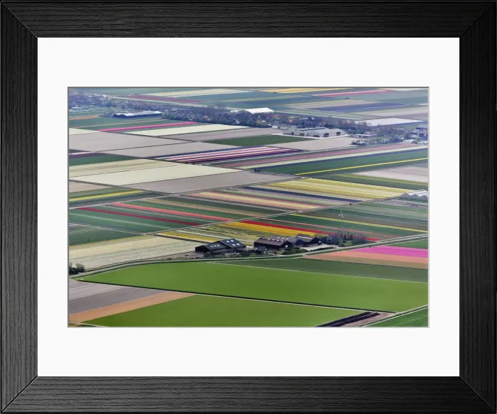 Framed Print : DDE-90033029 Framed Print : DDE-90033029