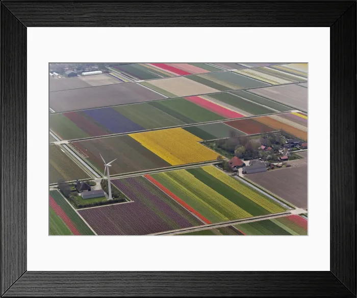 Framed Print : DDE-90033031