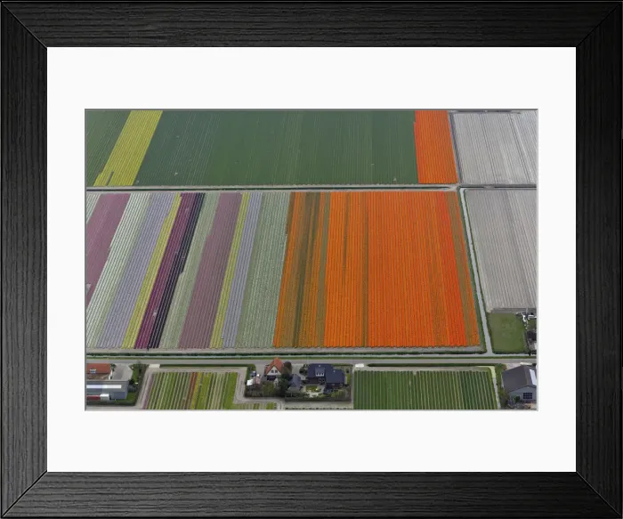 Framed Print : DDE-90033030 Framed Print : DDE-90033030