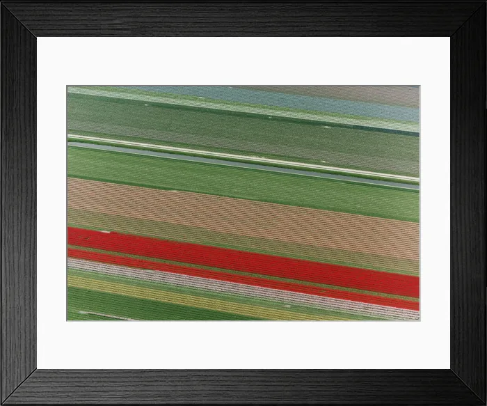 Framed Print : DDE-90033032 Framed Print : DDE-90033032