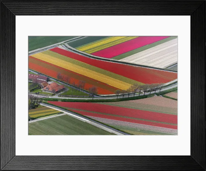 Framed Print : DDE-90033033 Framed Print : DDE-90033033