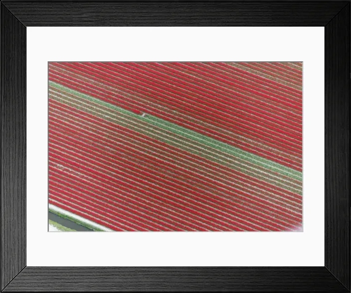 Framed Print : DDE-90033034 Framed Print : DDE-90033034