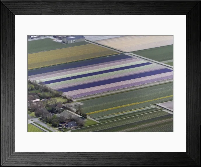 Framed Print : DDE-90033035