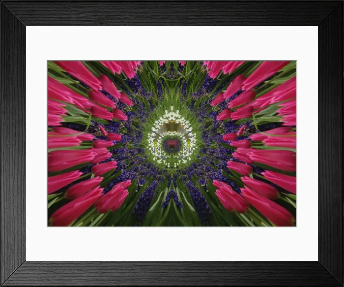 Framed Print : DDE-90033036