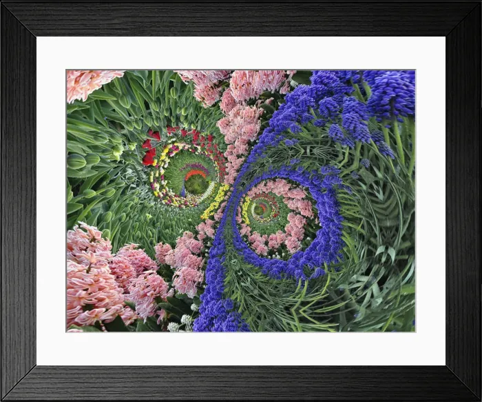 Framed Print : DDE-90033037 Framed Print : DDE-90033037