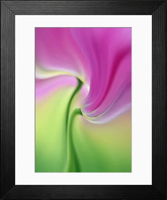 Framed Print : DDE-90033039 Framed Print : DDE-90033039
