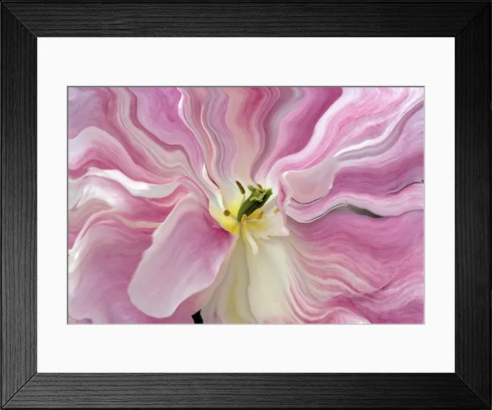 Framed Print : DDE-90033038 Framed Print : DDE-90033038