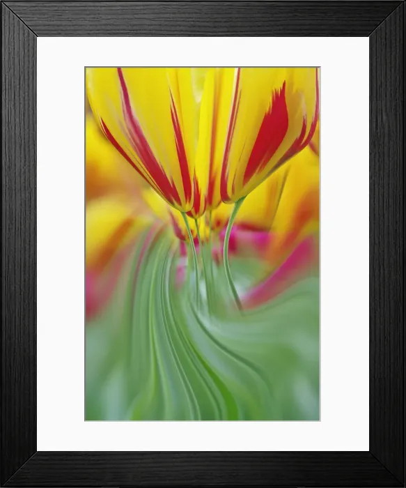 Framed Print : DDE-90033040 Framed Print : DDE-90033040