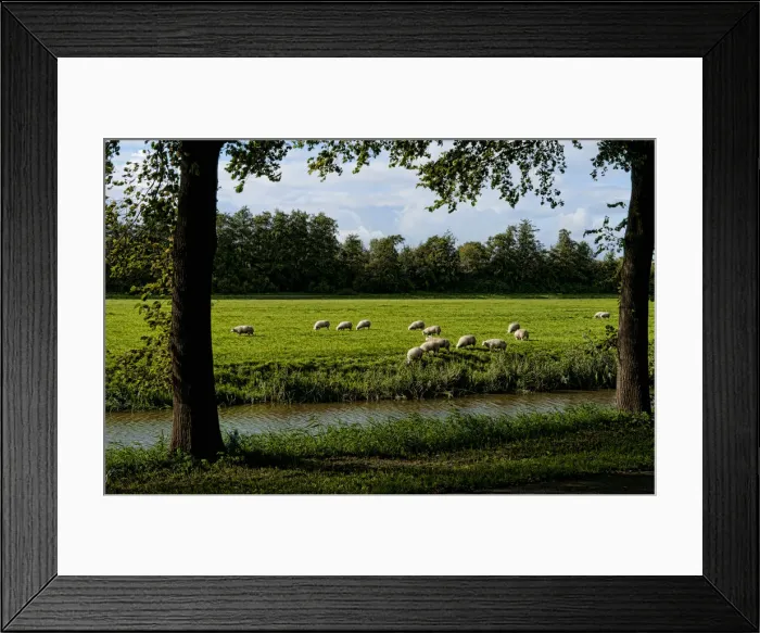 Framed Print : DDE-90033046
