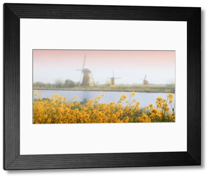Framed Print : DDE-90033049 Framed Print : DDE-90033049