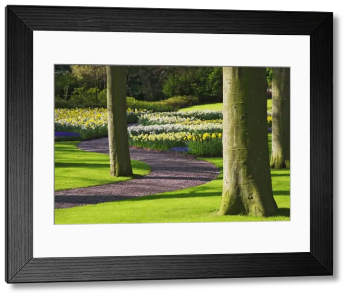 Framed Print : DDE-90033050 Framed Print : DDE-90033050