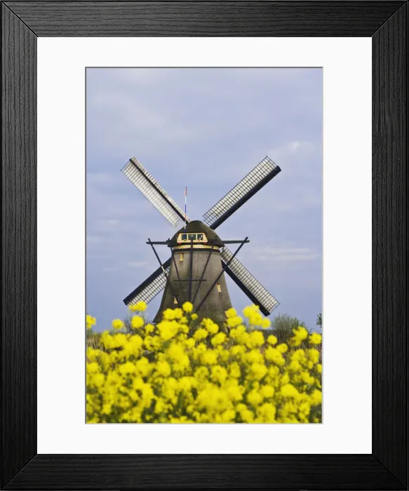 Framed Print : DDE-90033051 Framed Print : DDE-90033051