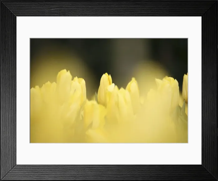 Framed Print : DDE-90033057