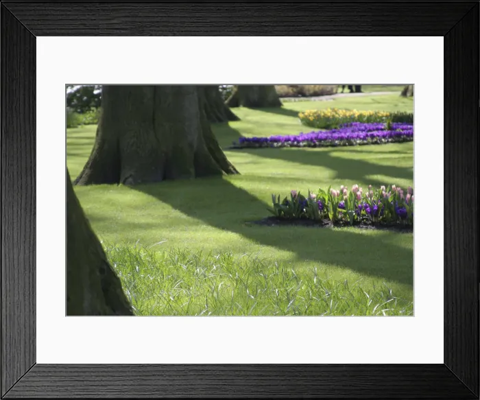 Framed Print : DDE-90033056