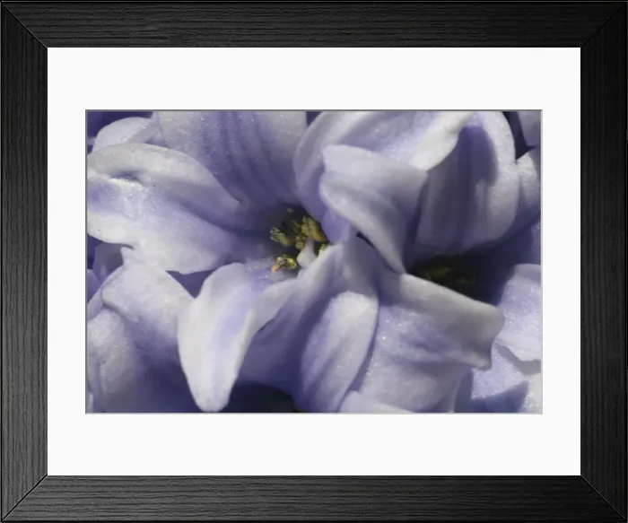 Framed Print : DDE-90033062 Framed Print : DDE-90033062