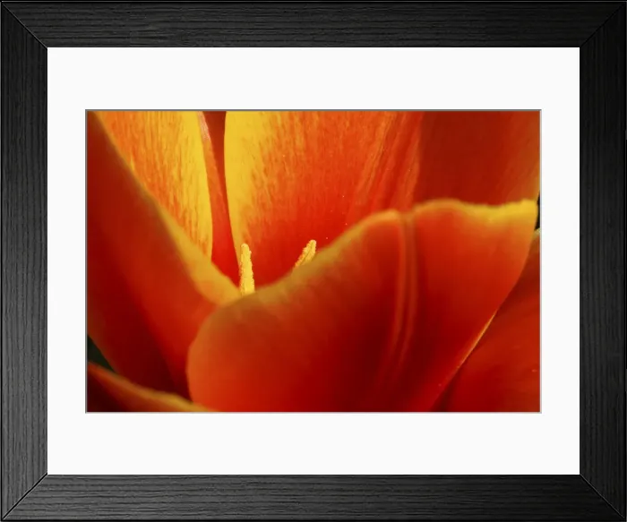 Framed Print : DDE-90033063 Framed Print : DDE-90033063