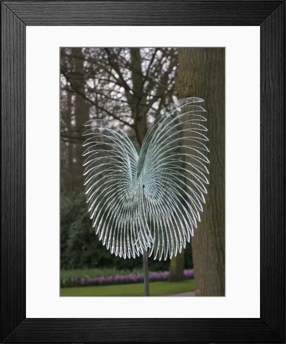 Framed Print : DDE-90033073 Framed Print : DDE-90033073