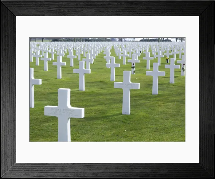Framed Print : DDE-90033148 Framed Print : DDE-90033148