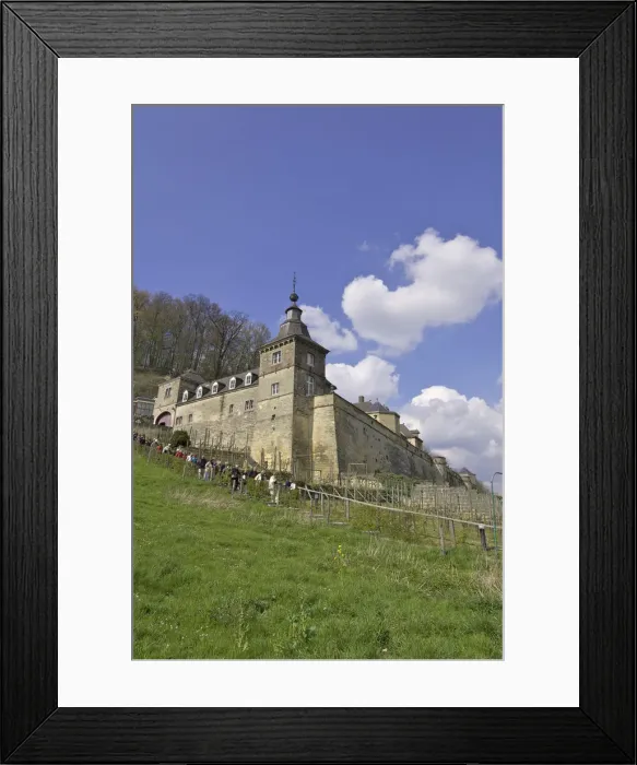 Framed Print : DDE-90033150 Framed Print : DDE-90033150