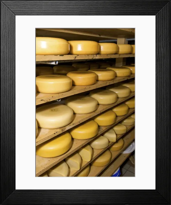 Framed Print : DDE-90033159 Framed Print : DDE-90033159