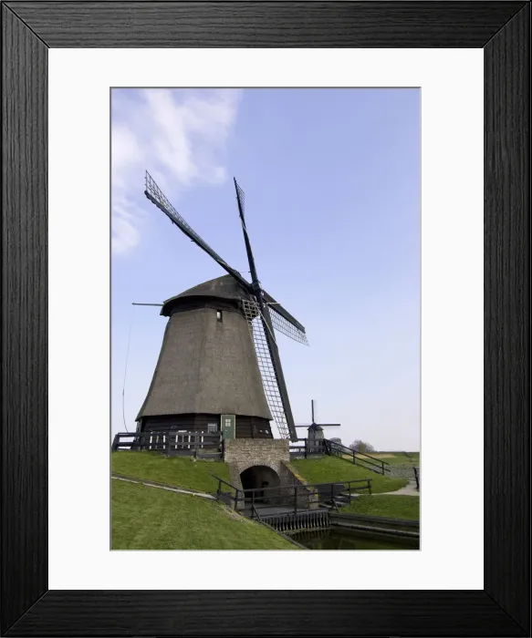 Framed Print : DDE-90033160 Framed Print : DDE-90033160