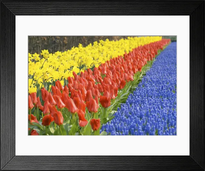 Framed Print : DDE-90033163 Framed Print : DDE-90033163