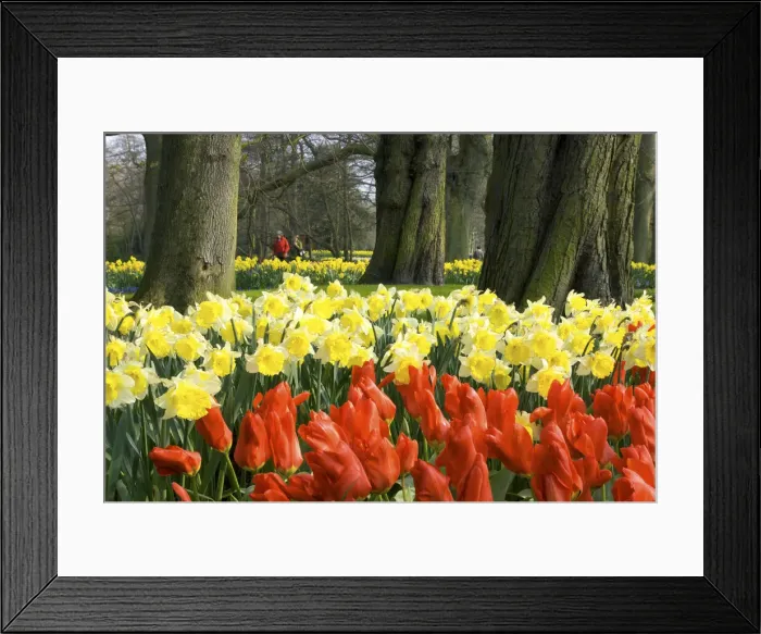 Framed Print : DDE-90033164 Framed Print : DDE-90033164