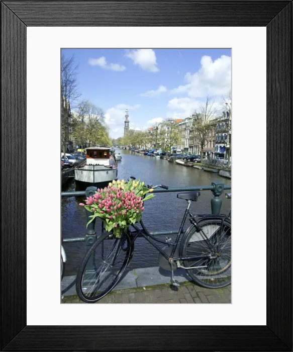 Framed Print : DDE-90033170 Framed Print : DDE-90033170