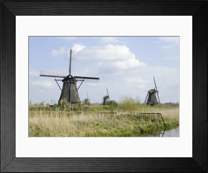 Framed Print : DDE-90033176 Framed Print : DDE-90033176