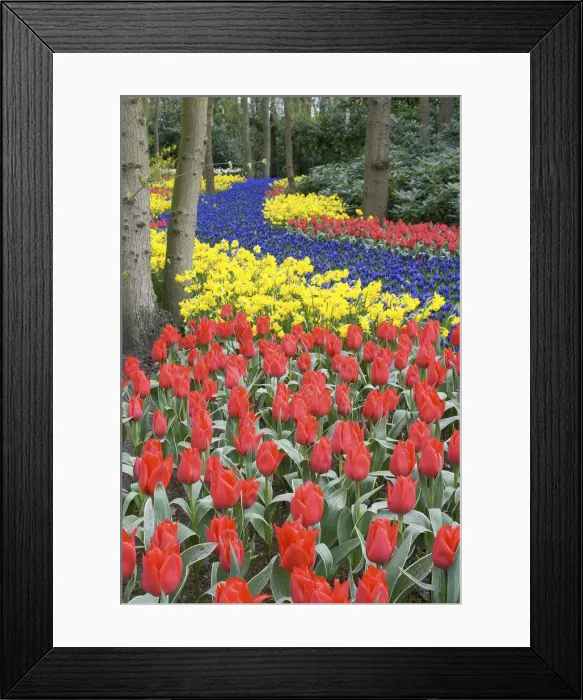 Framed Print : DDE-90033181 Framed Print : DDE-90033181