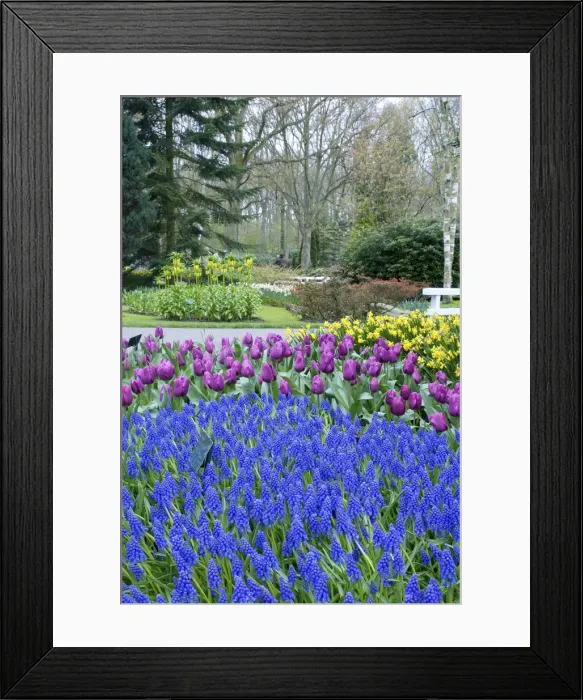 Framed Print : DDE-90033182 Framed Print : DDE-90033182