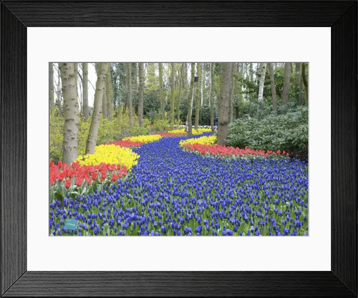 Framed Print : DDE-90033180 Framed Print : DDE-90033180