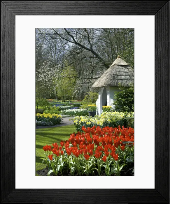 Framed Print : DDE-90033183