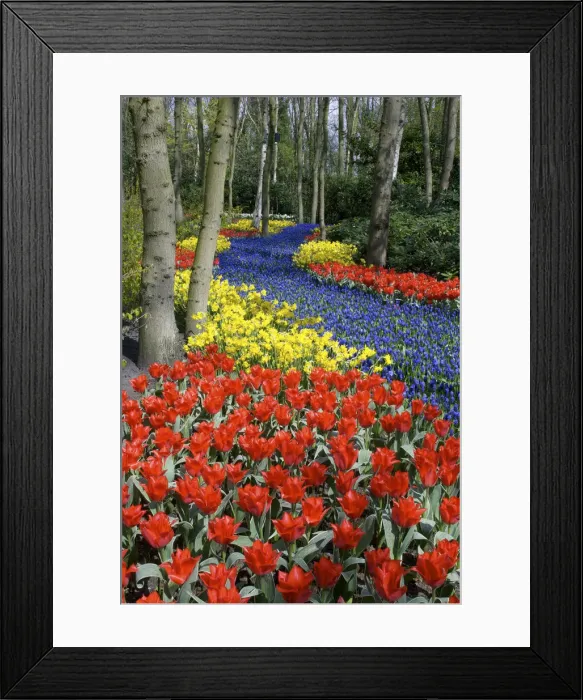 Framed Print : DDE-90033185 Framed Print : DDE-90033185
