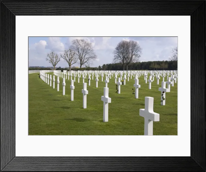 Framed Print : DDE-90033191