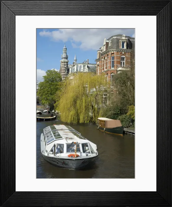 Framed Print : DDE-90033204 Framed Print : DDE-90033204