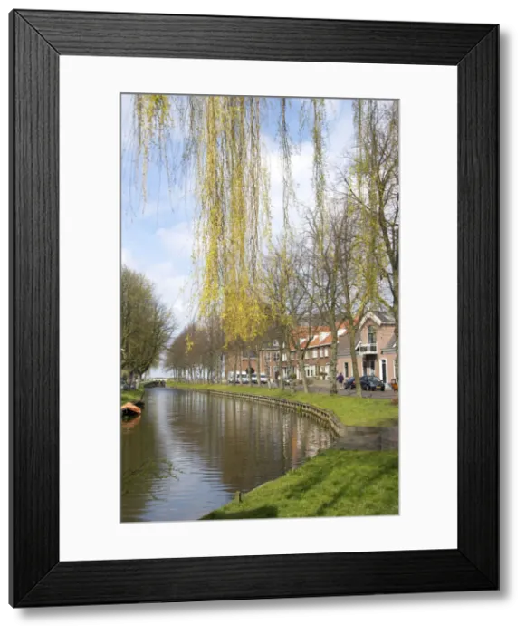 Framed Print : DDE-90033213 Framed Print : DDE-90033213