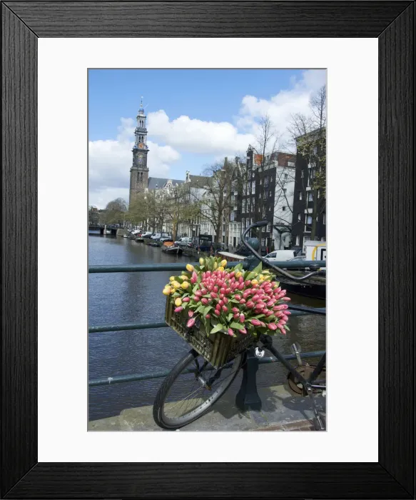 Framed Print : DDE-90033214