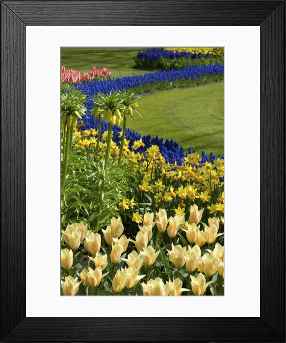 Framed Print : DDE-90033223